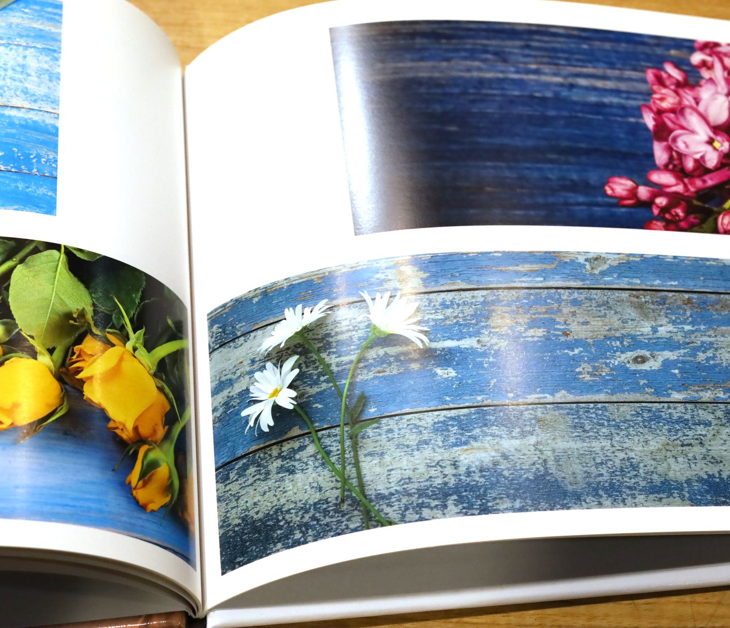 Photo Books › image