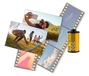 Film Development › image