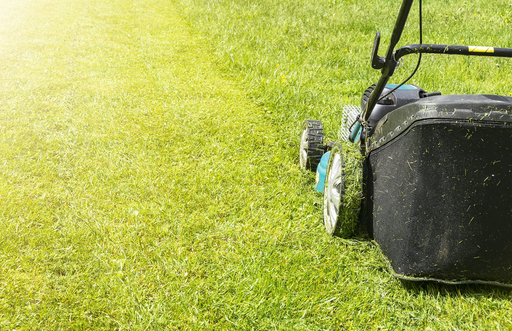 Lawn Care and Maintenance, Yard Maintenance, Edmonton, AB