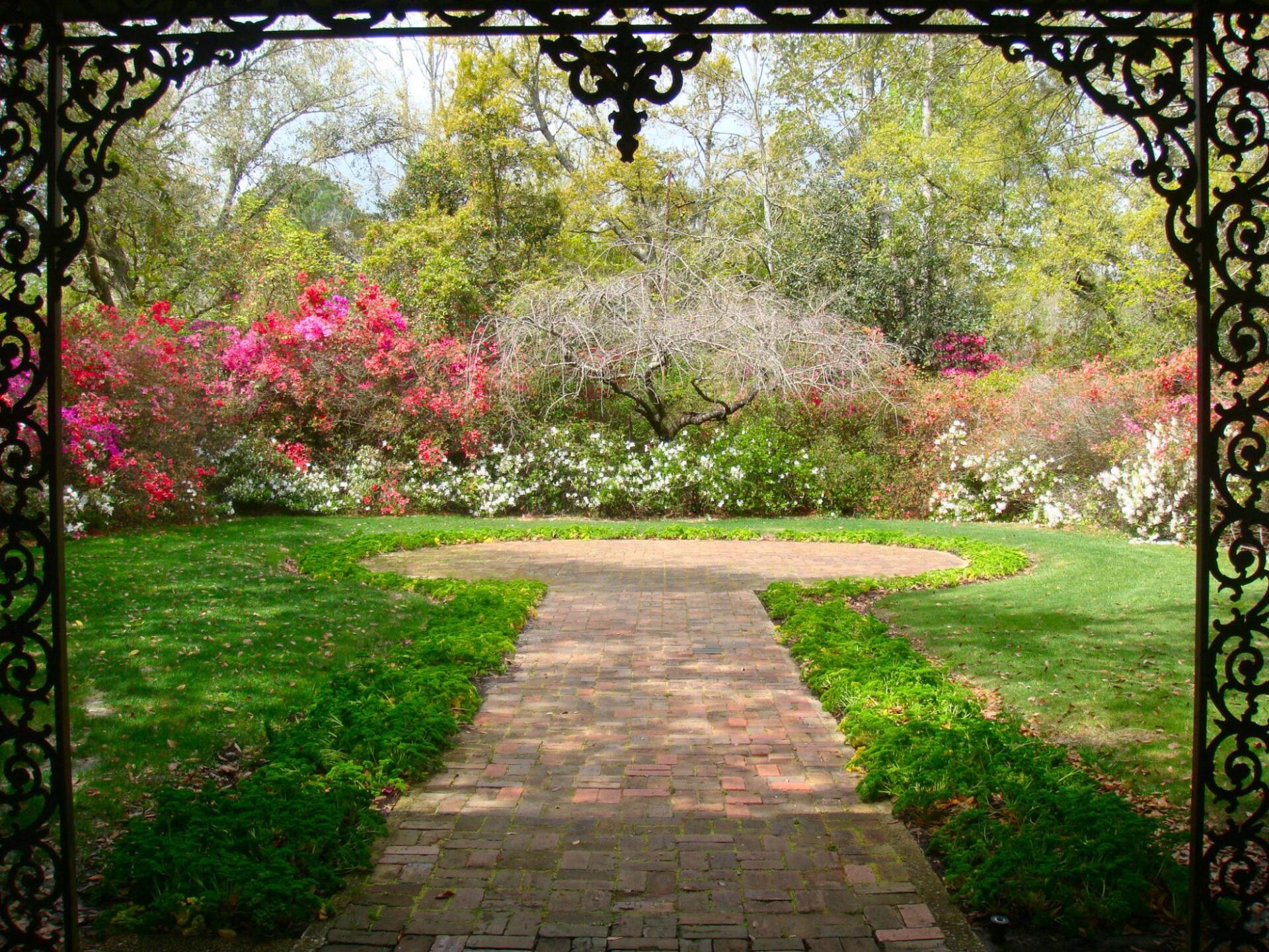 green lawn with paving stones