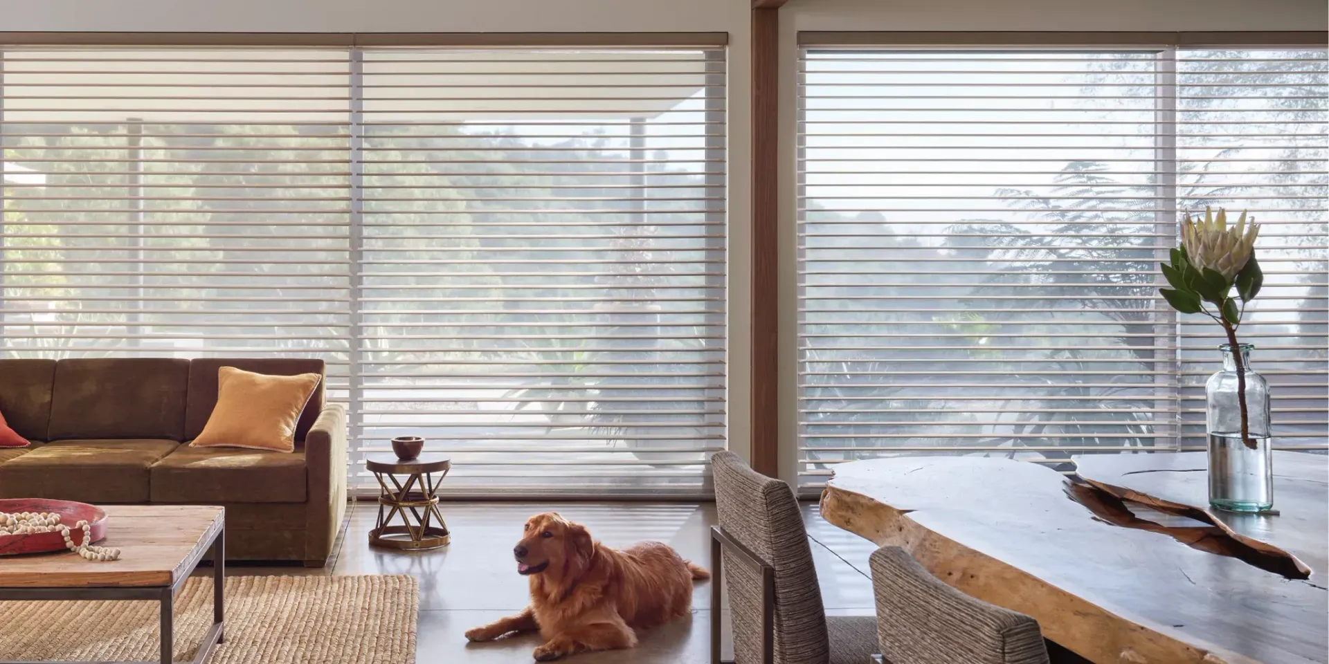 Bright living room with large windows, a dog on the floor, and a couch with pillows and a flower vase on the table