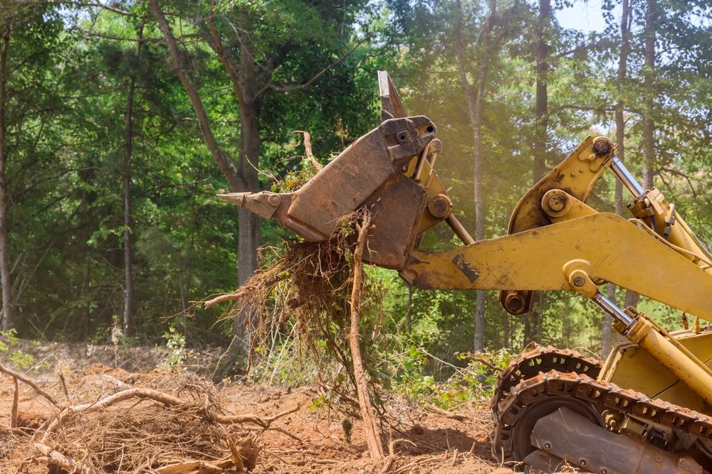 Yellow Bulldozer Pulling Up Tree Roots in a Forest — Macca's Dynamic Earthworks in Tolga, QLD