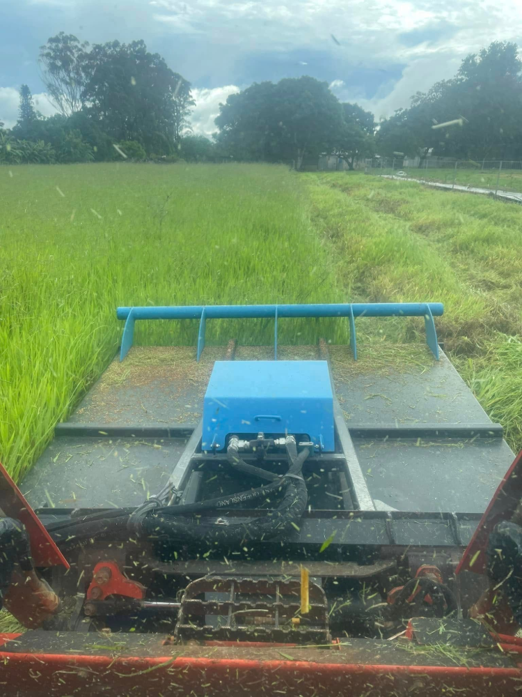 A harvester cuts through a rice field, visible from the driver's seat. Green rice surrounds the machine, cloudy sky overhead.— Macca's Dynamic Earthworks in Tolga, QLD