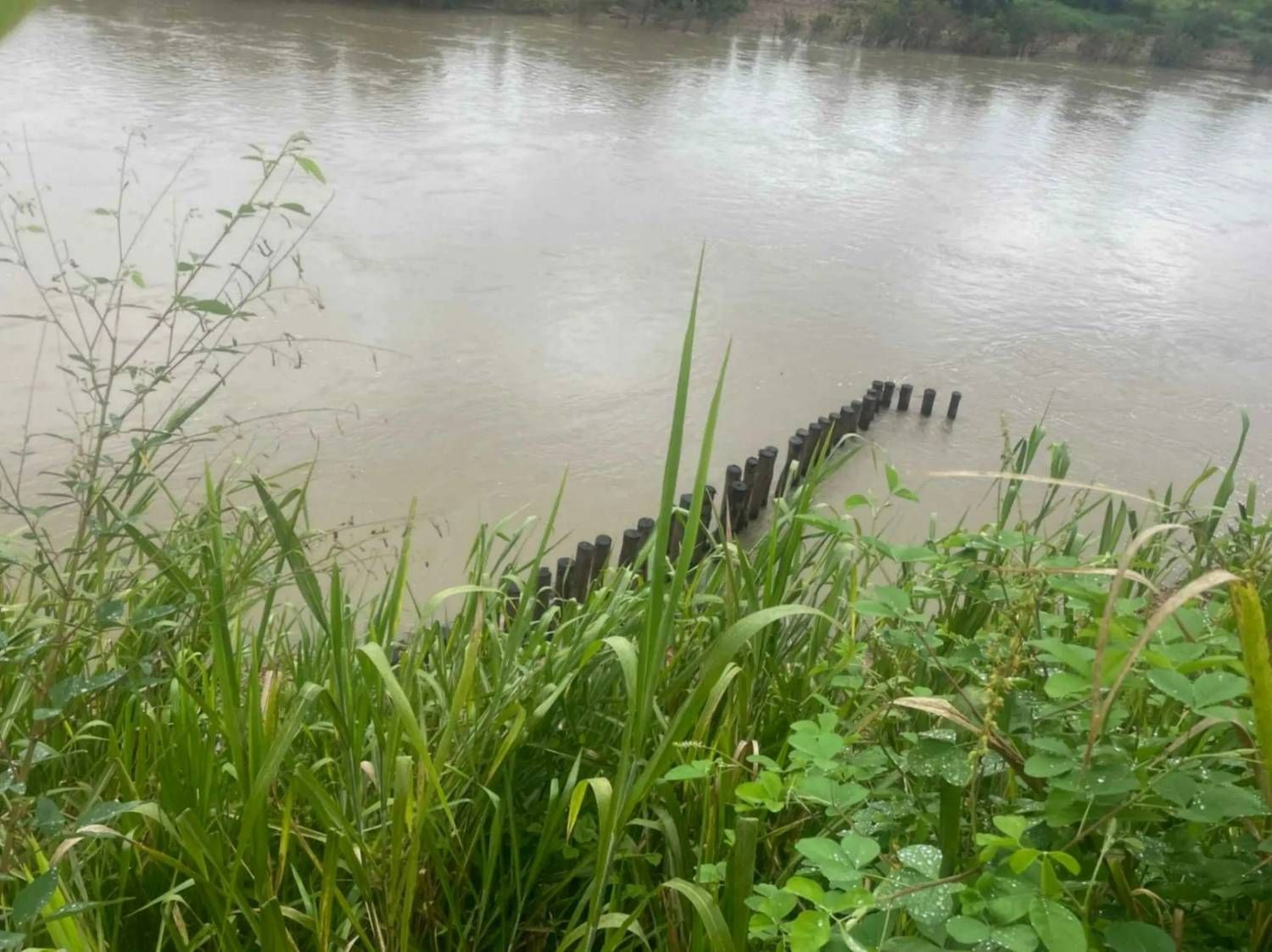 A Muddy River with A Wooden Post Structure in The Water — Macca's Dynamic Earthworks in Tolga, QLD