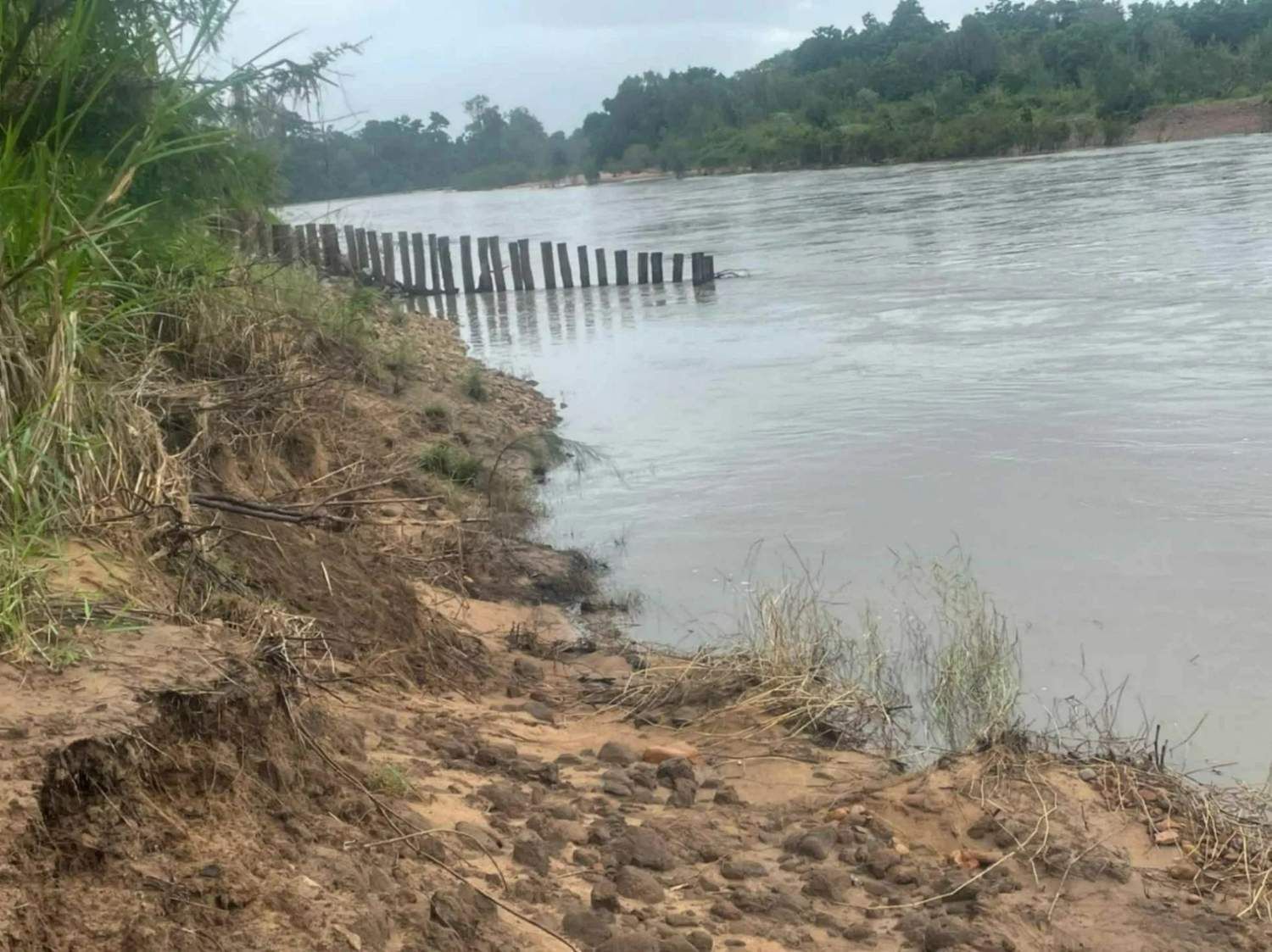 Eroding Riverbank with Wooden Posts — Macca's Dynamic Earthworks in Tolga, QLD
