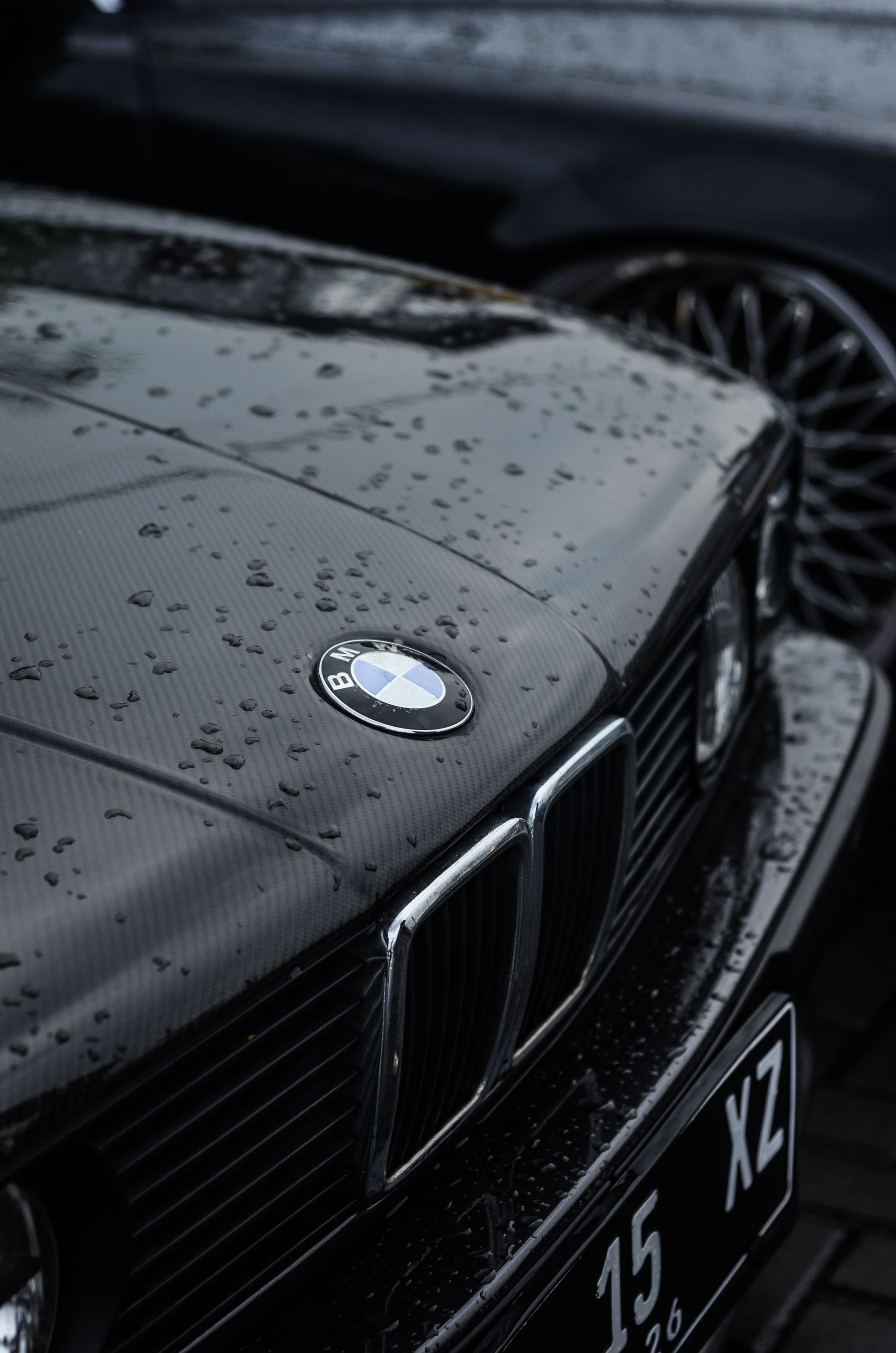 Rain-covered black BMW front end with hood emblem and grille close-up