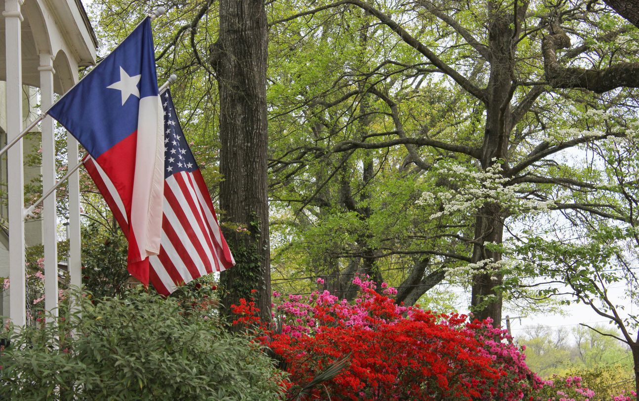 Texas Flag and American Flag Flapping in the Breeze in Houston, TX