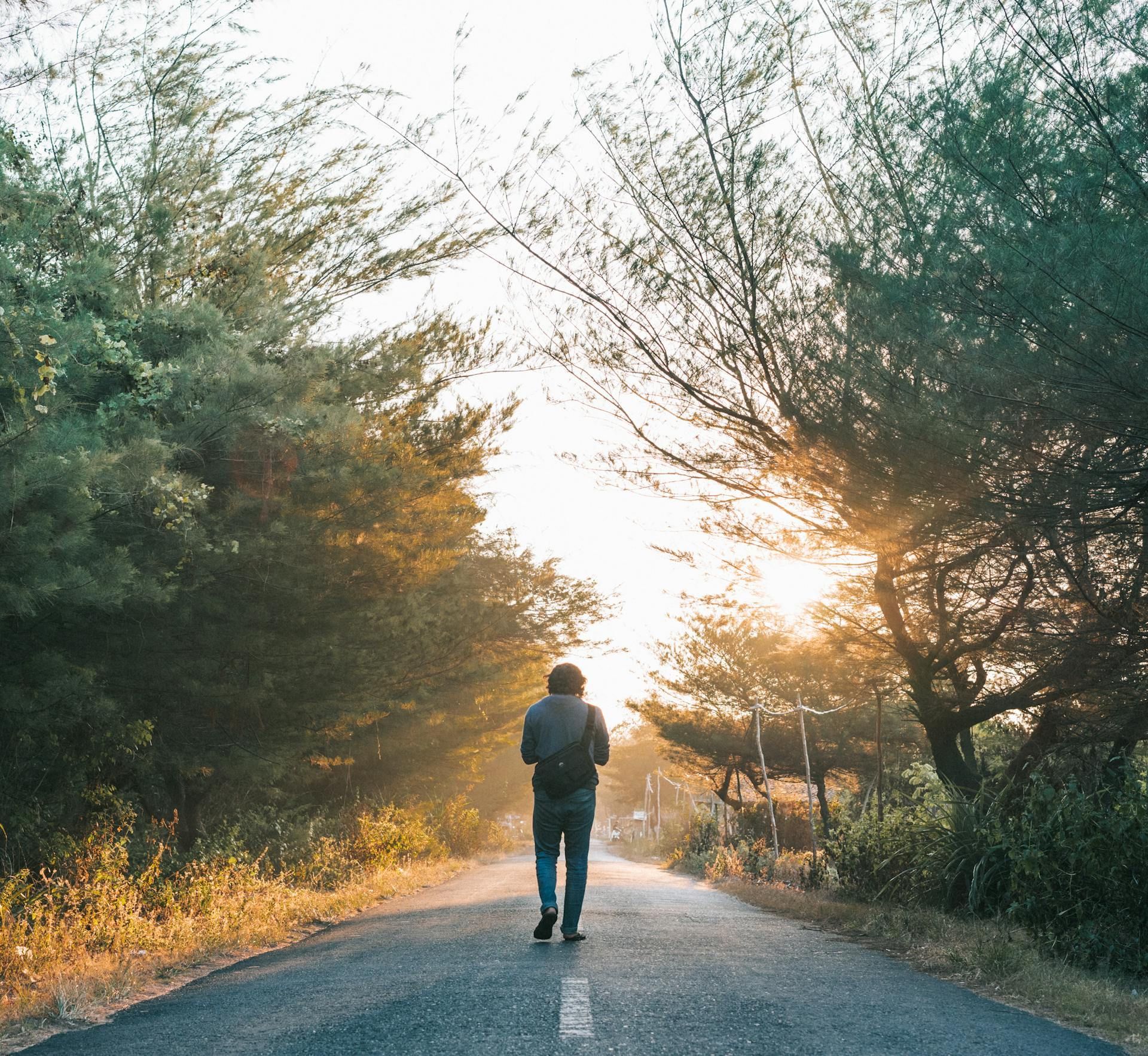 A person with a backpack walks down a sunlit road lined with trees.