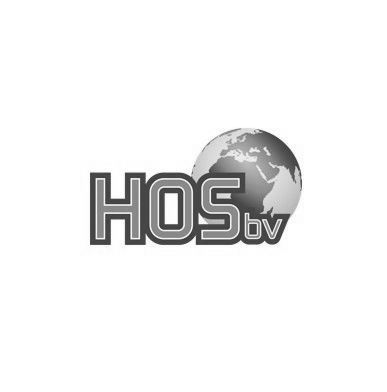 Het HOSbv-logo in grijs met een wereldbolafbeelding boven de letters.