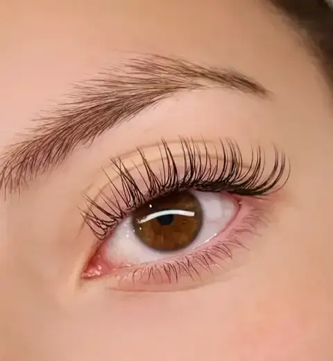 Close-up of a brown eye with long curled eyelashes and neatly shaped eyebrow