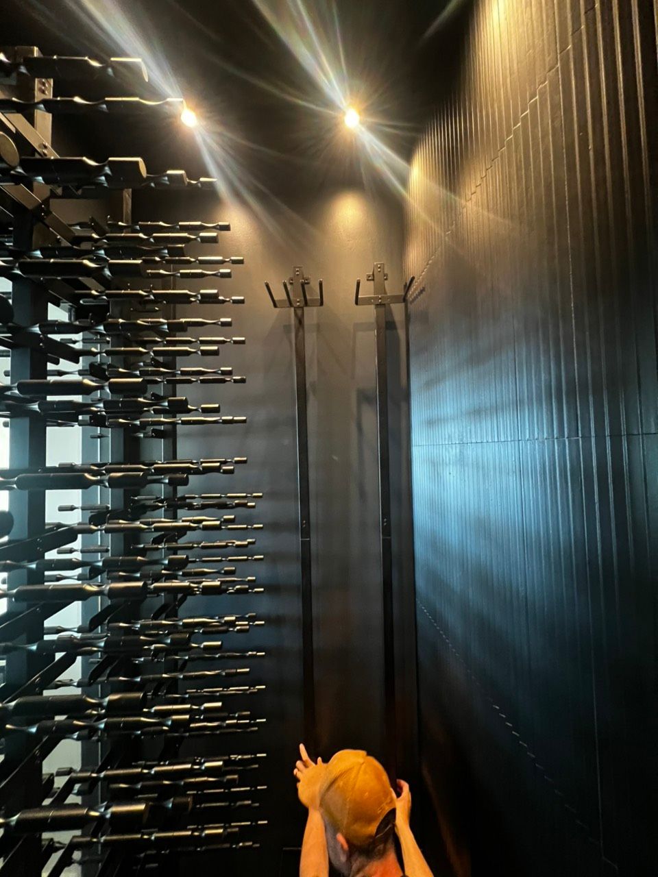 Dim wine cellar with stacked bottles, a coat rack, and a small tan dog in the foreground.