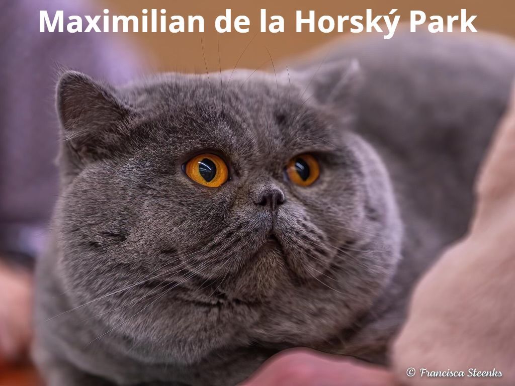 Maximilian de la Horský Park.