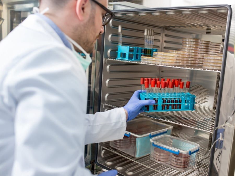 Man in a Lab Coat is Holding a Tray of Test Tubes in a Refrigerator — KeyBay in Canyonleigh, NSW