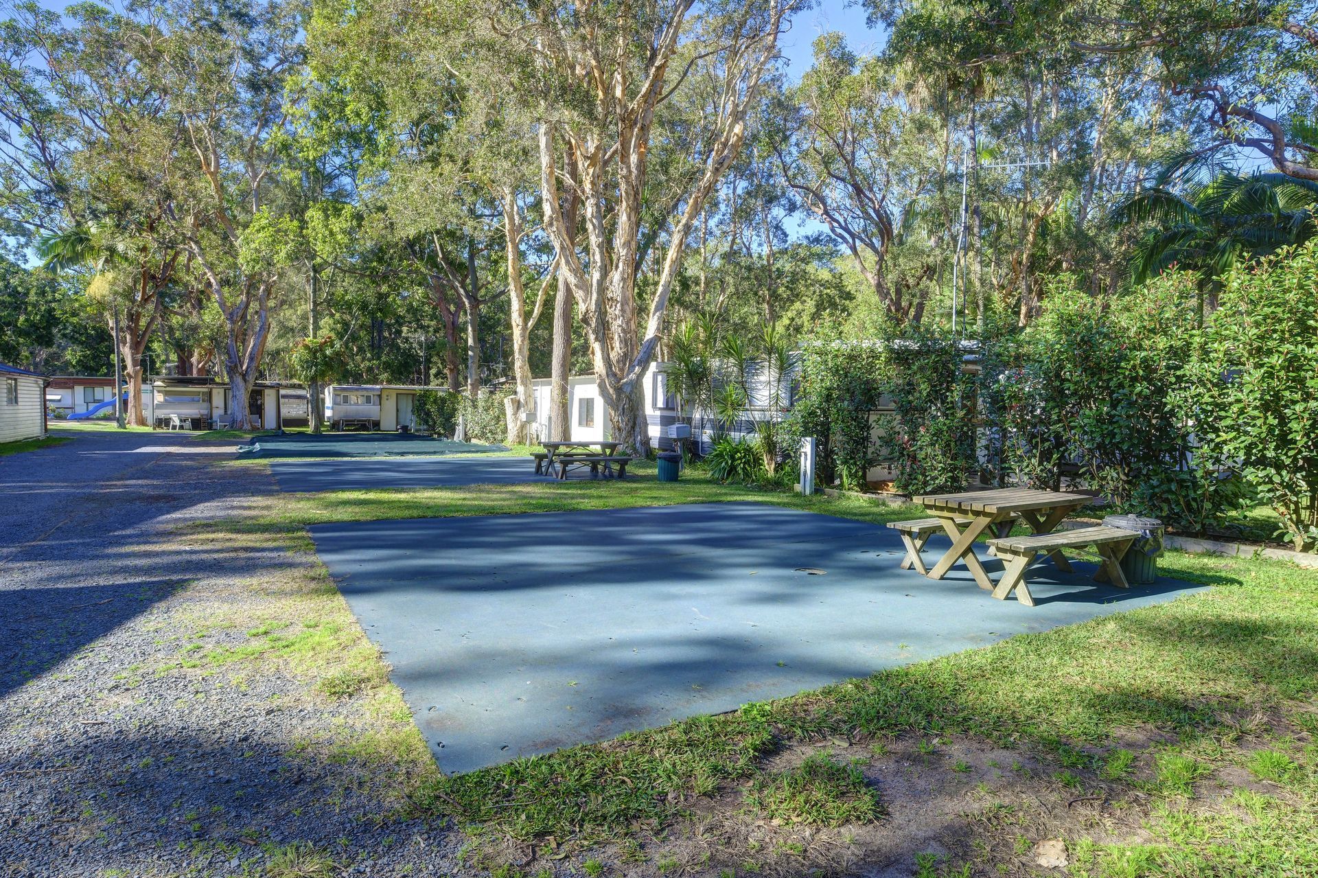 Picnic tables on a blue surface surrounded by trees and a gravel parking lot.— Pacific Palms Caravan Park in Elizabeth Beach, NSW