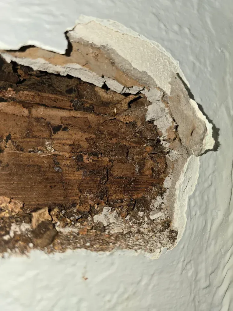A jagged hole in a white textured wall reveals dark, crumbling, damaged wood framing and debris inside.