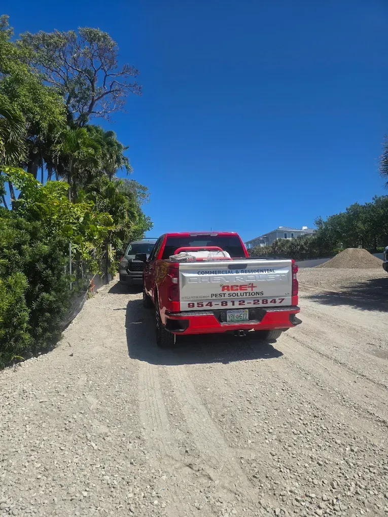 A bright red pickup truck parked on a gravel path beside lush green trees under a clear blue sky.