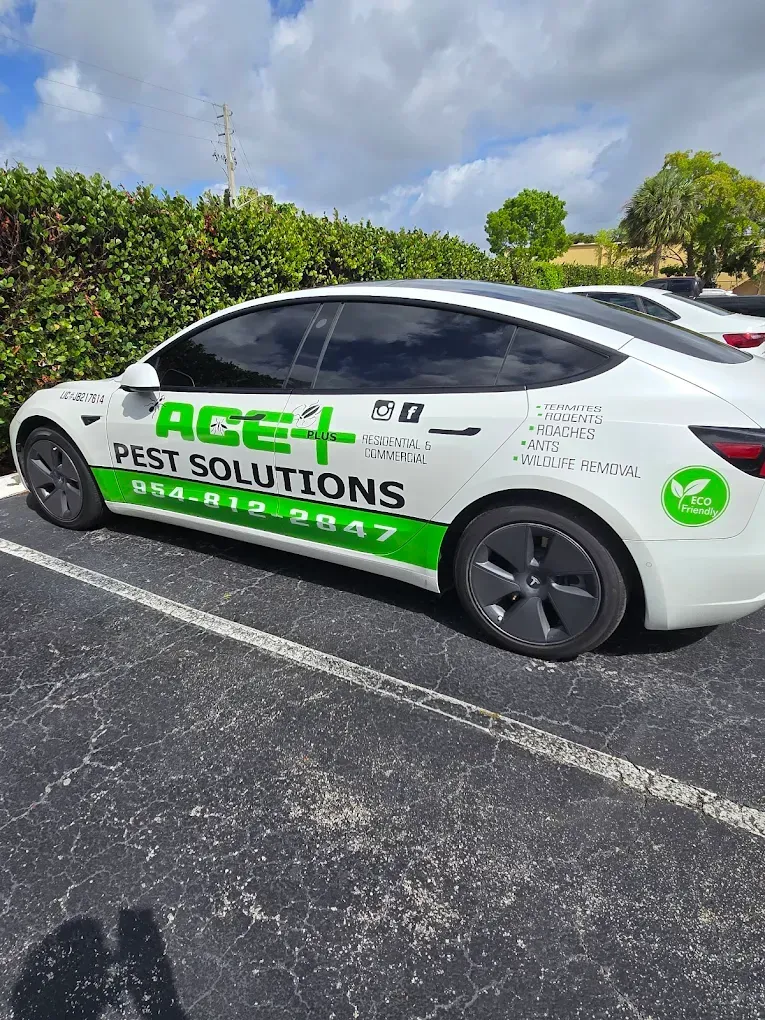 White Tesla branded with green Ace Pest Solutions logo and phone number, parked in an outdoor parking lot.