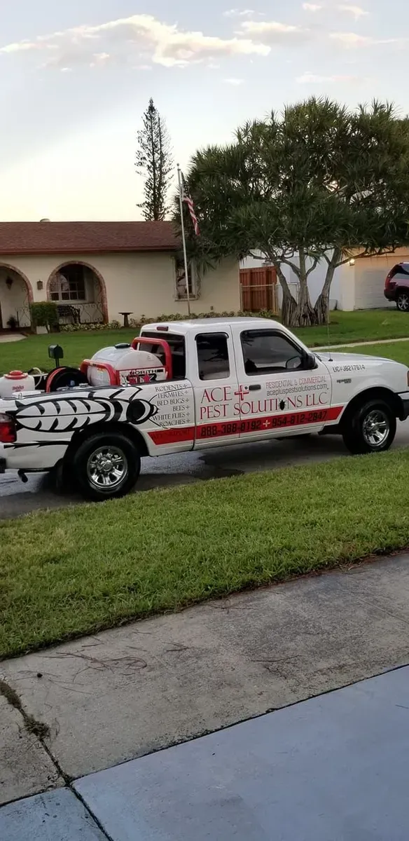 A white pickup truck with red stripes and tiger-like markings parked on a residential lawn.