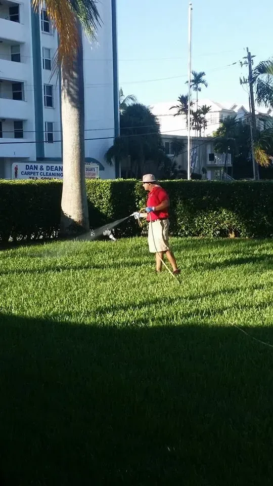 A person in a red shirt and light shorts stands in a grassy area, spraying a palm tree with a hose.