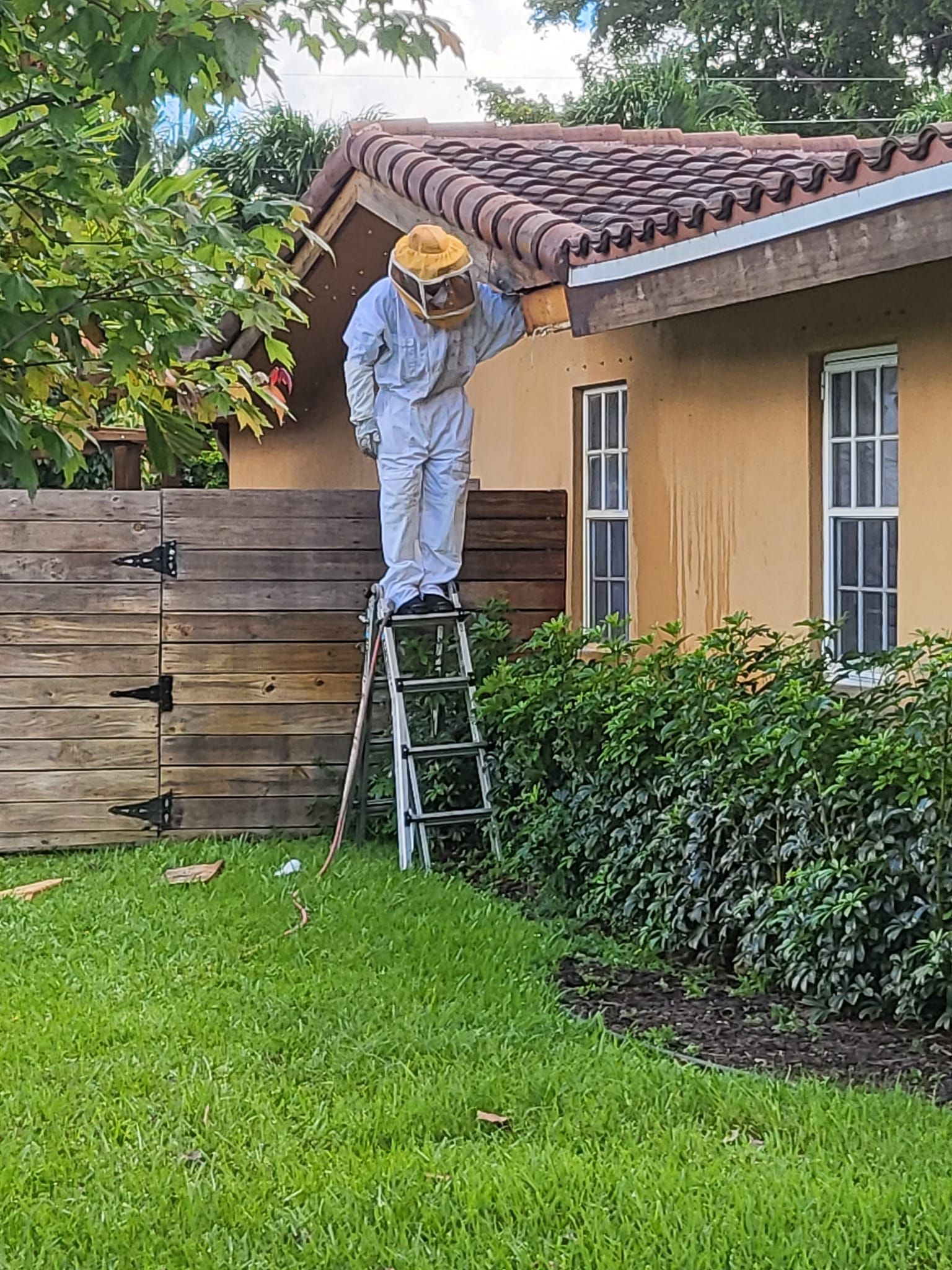 A person in a protective bee suit stands on a step ladder, working on the roofline of a tan house.