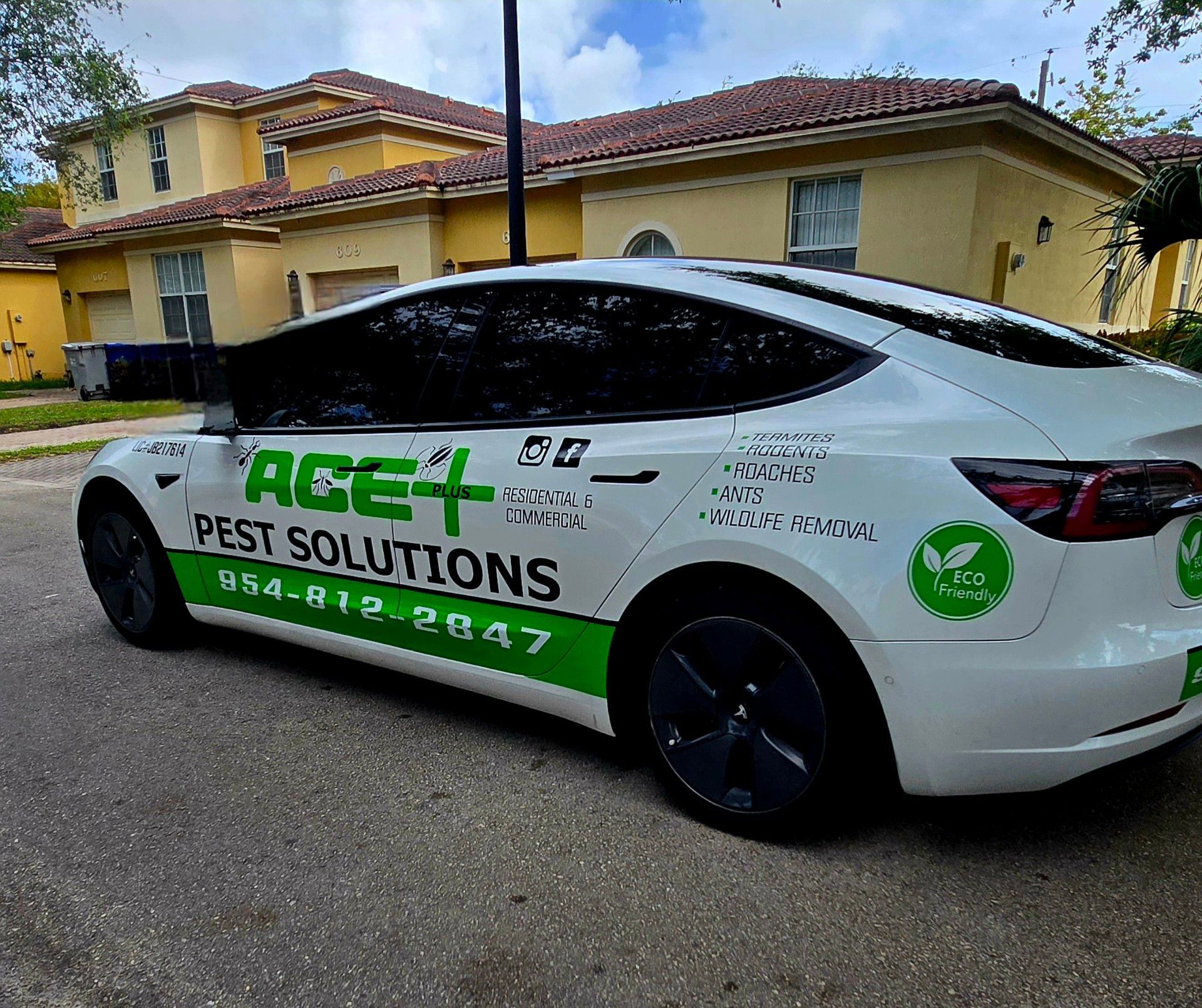 A white Tesla branded with green 