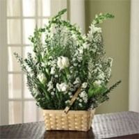 A woven basket planter holding green leafy stems with white flowers on a table by a window.
