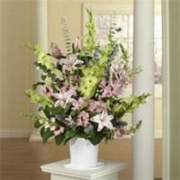 Pink and white lilies in a white vase on a pedestal, with green foliage in a bright room