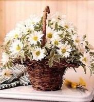 Basket of white daisies on a table with a woven handle, beside a folded cloth and small yellow object