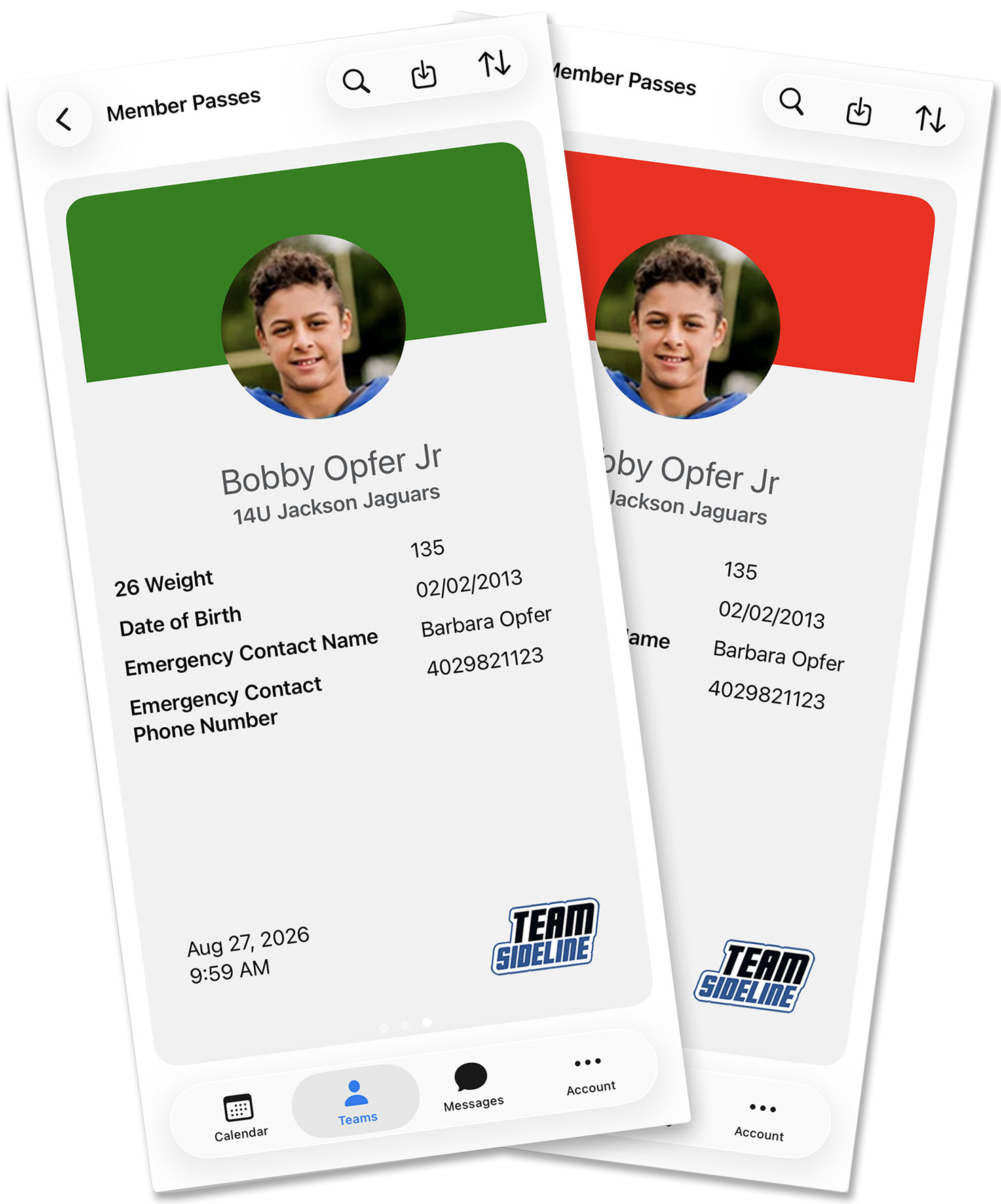 Two digital ID cards, one green and one red, showing a portrait and personal details.