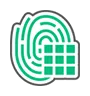 Green fingerprint over a grid, possibly for biometric authentication.