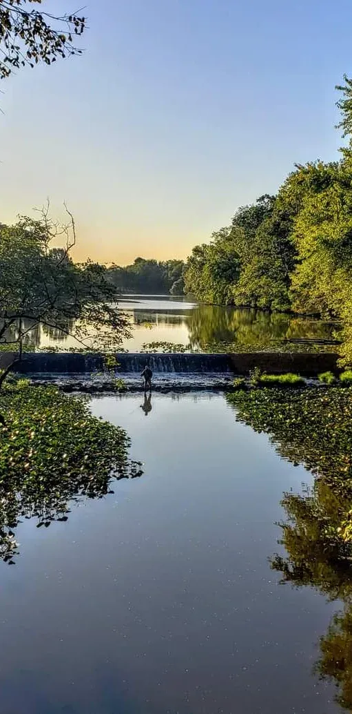 A calm river scene with trees on either side. A small dam is in the center with a person standing on it.