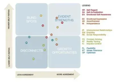 Quadrant chart of strengths and growth areas, with colored dots and a legend on the right.