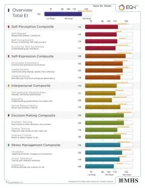 Bar chart dashboard of EQ-I scores with colored subscale bars and composite sections, labeled by category.