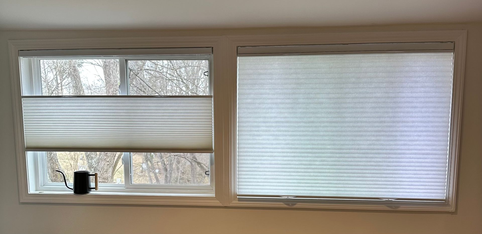 Two side-by-side windows with blinds; left has a small black plant pot on the sill.