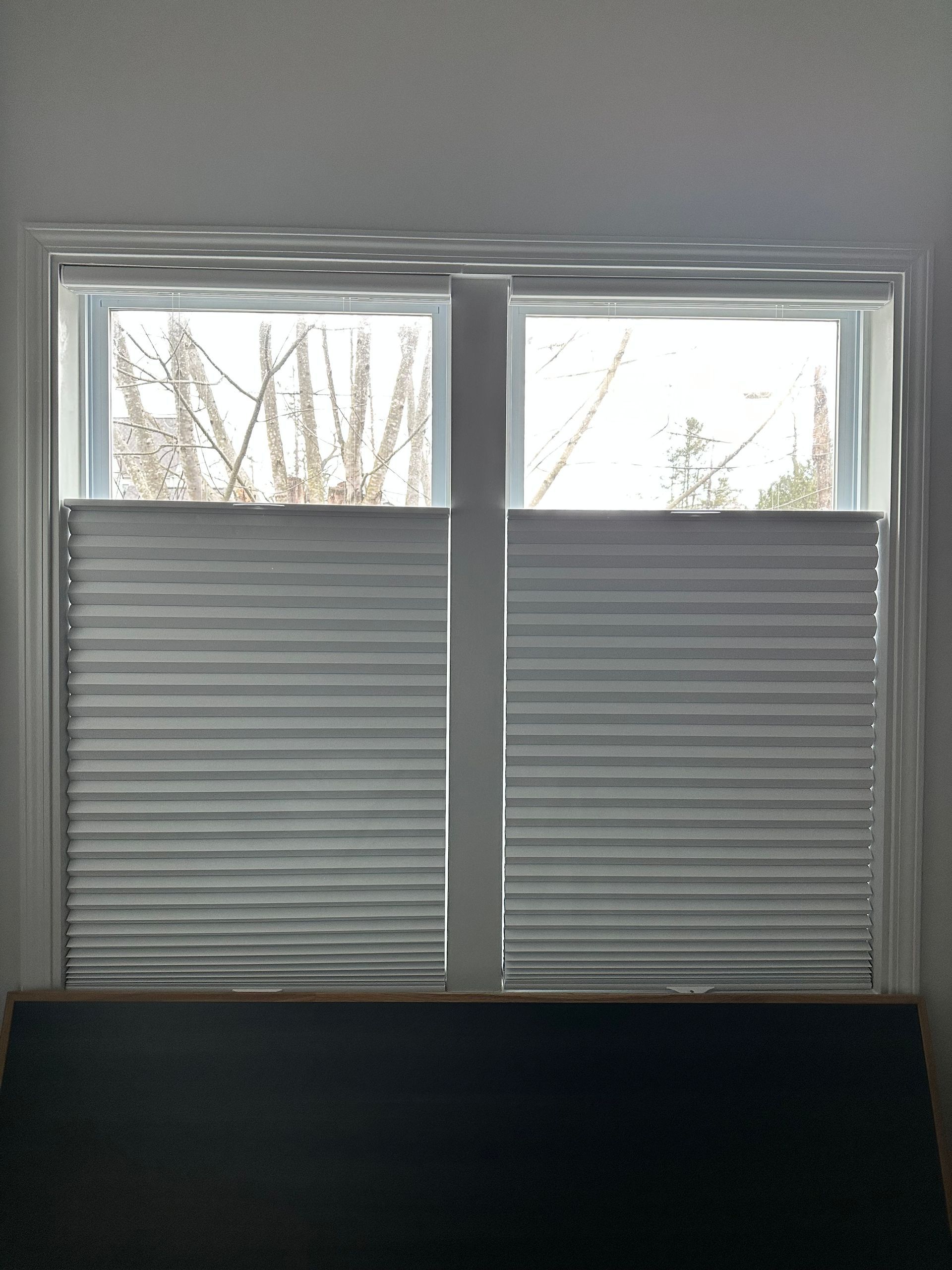 White window blinds cover the lower panes of two windows, with bare tree branches visible above.