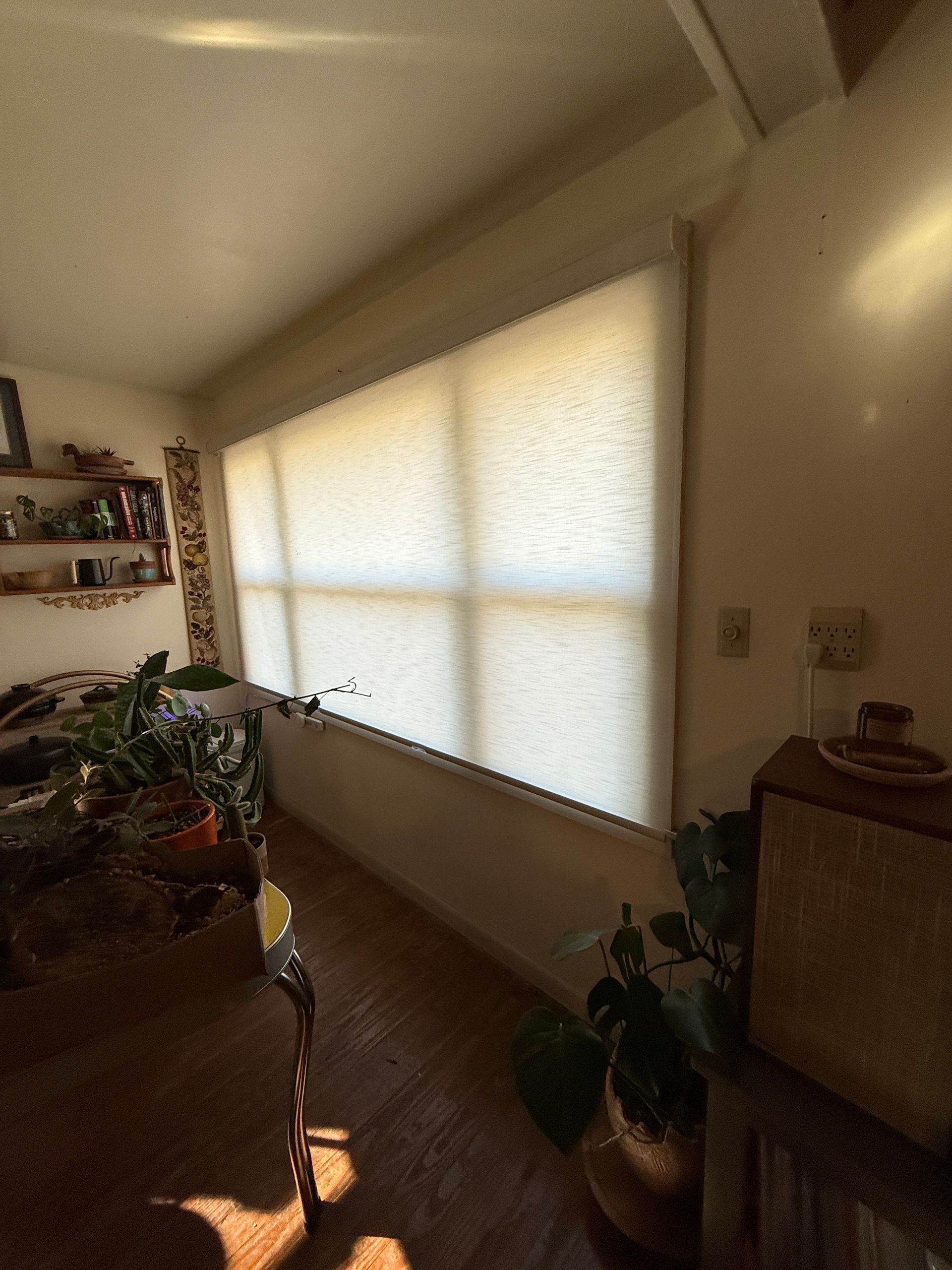 Sunlit living room with large window blinds, potted plants, and a wall shelf with decor