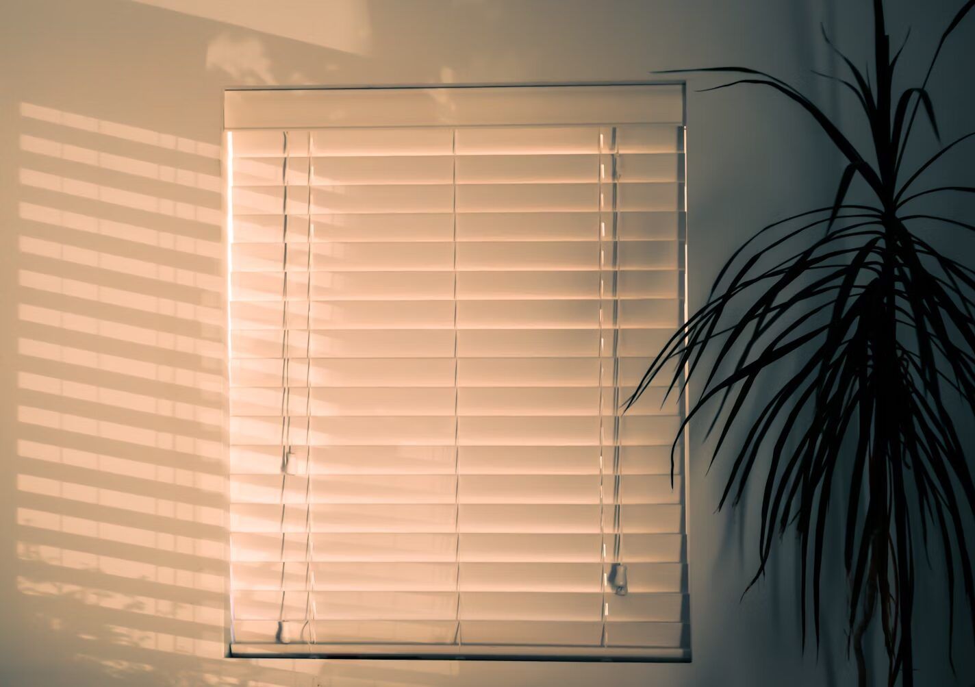 Blinds Maintenance: Keeping Your Investment in Great Shape