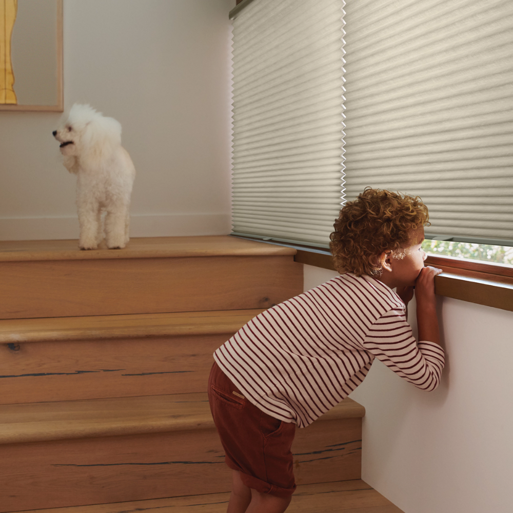 Child peering out a window while a small white dog stands on nearby stairs