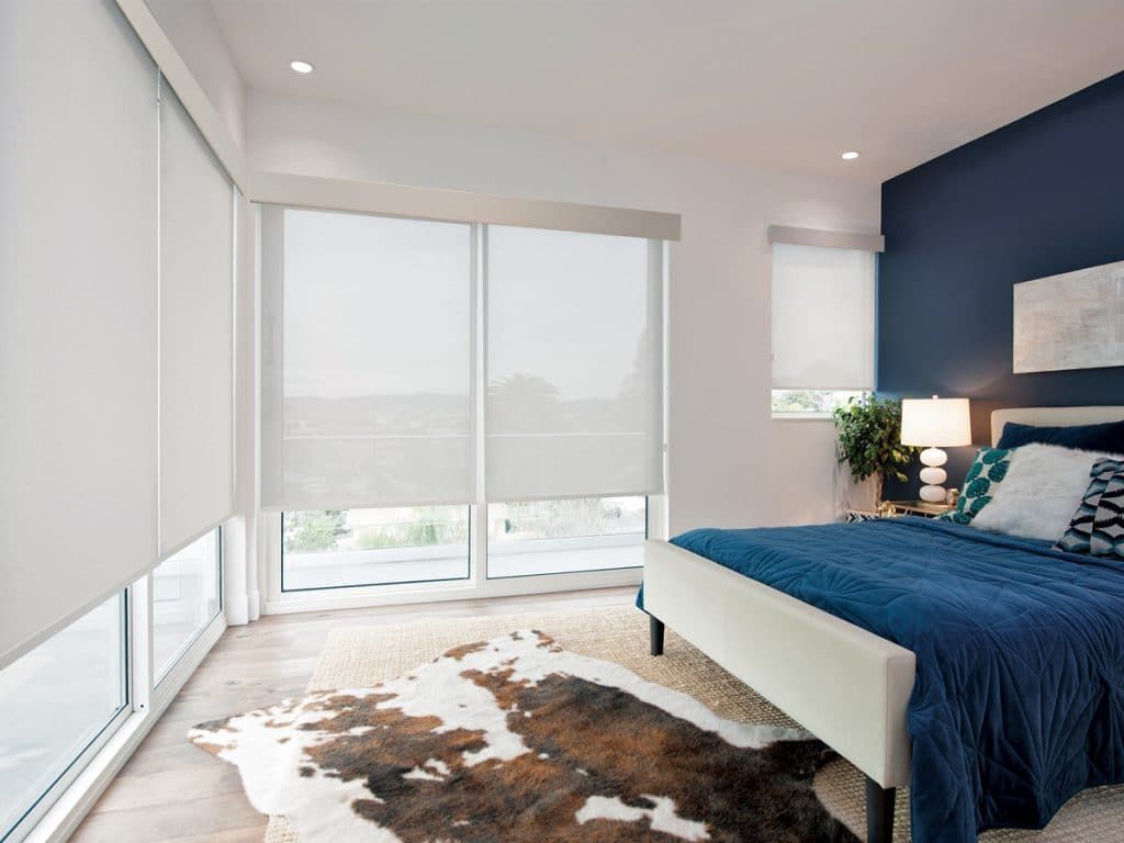 Modern bedroom with blue accent wall, large windows, white blinds, and a cowhide rug