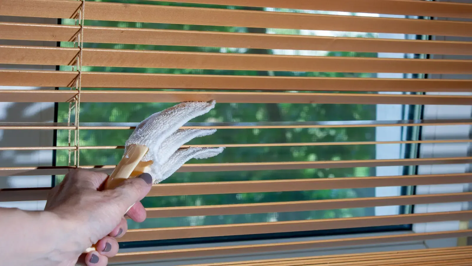 Hand opening wooden blinds to reveal a window with green trees outside