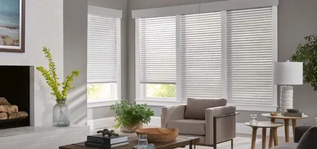 Bright living room with white blinds, gray sofa, coffee table, and potted plants near large windows