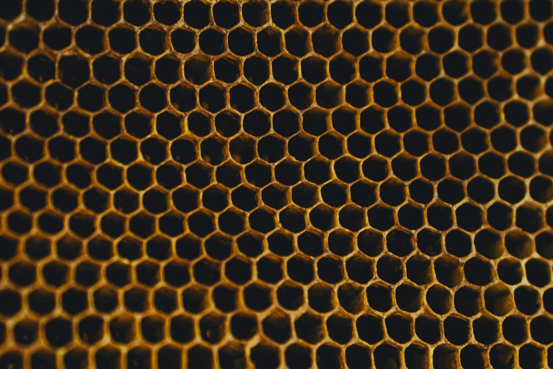Orange honeycomb mesh pattern on a dark background