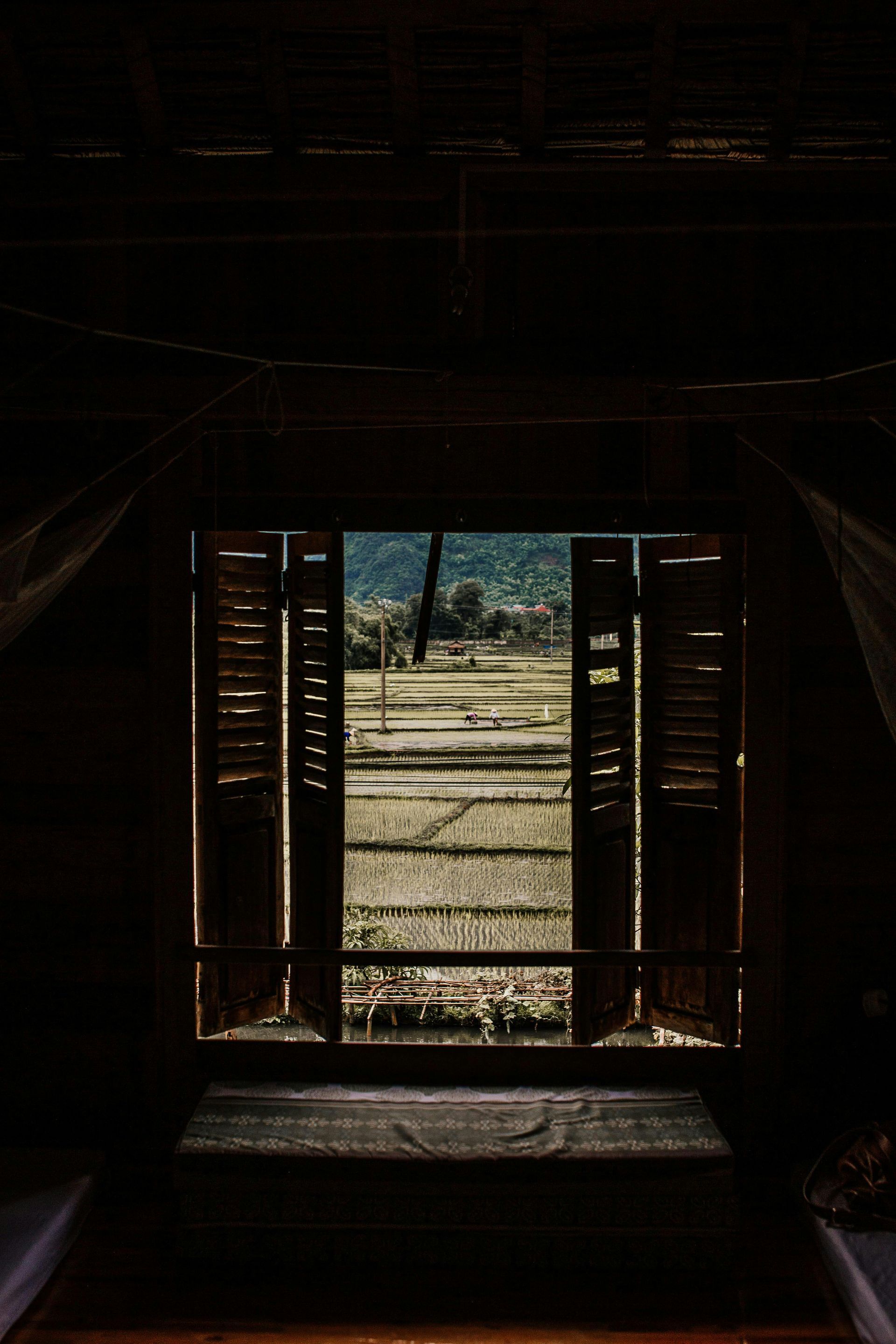 Open wooden shutters framing a bright outdoor view of a dirt path and trees from a dark interior.