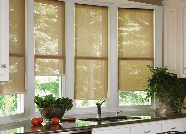 Kitchen window with beige blinds, potted plants, and a sink on a countertop