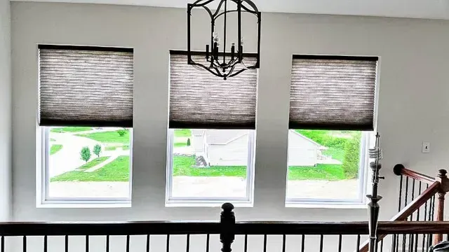 Window Shades Products in North Carolina