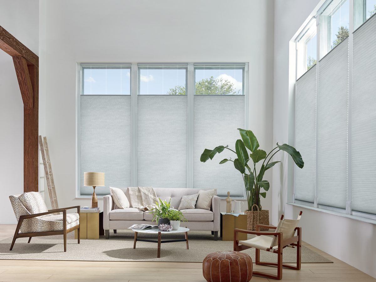 Bright living room with beige sofa, chair, large plant, and tall windows with blinds
