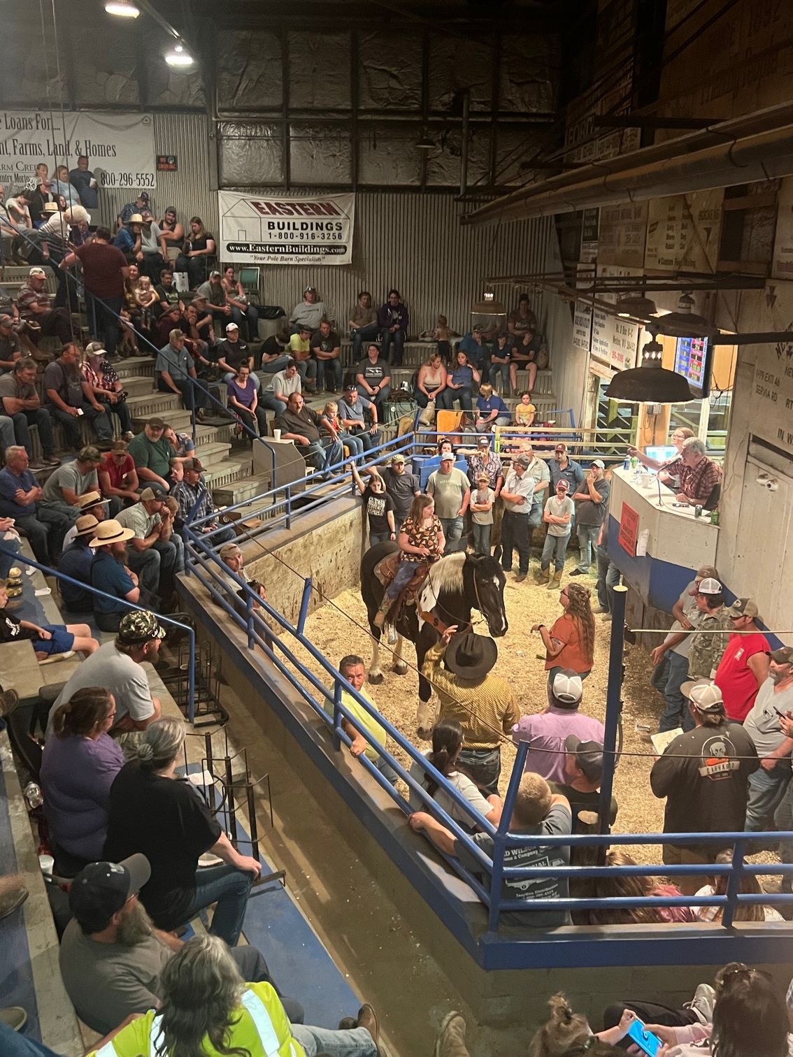 Auction of a horse in an indoor arena, spectators in bleachers.