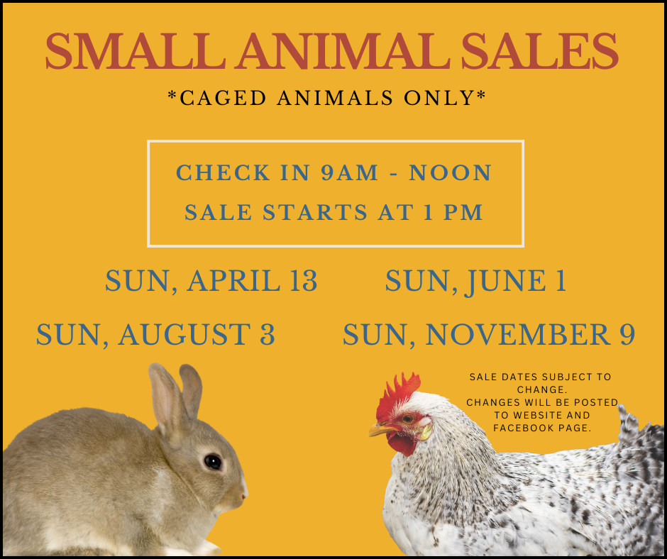 Small animal sales flyer, dates: April 13, June 1, August 3, & November 9. Includes rabbit & chicken images.