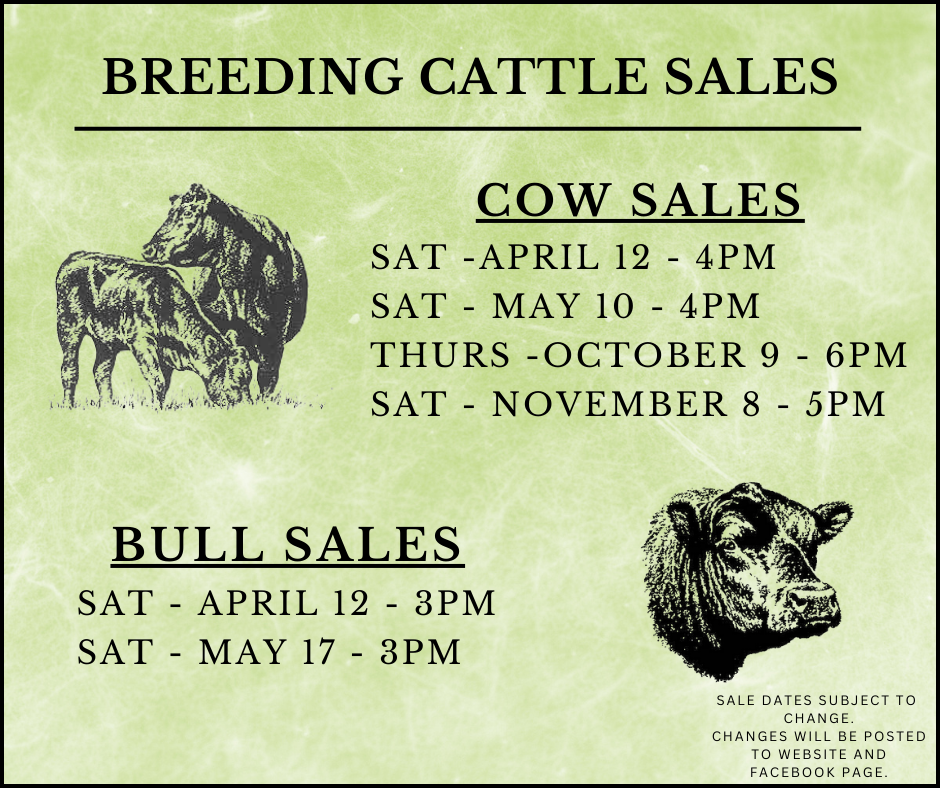 Breeding cattle sales announcement with cow and bull sale dates, times, and a website for changes.