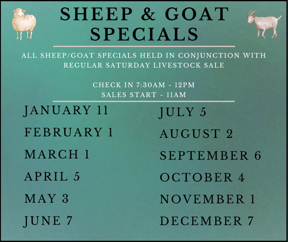 Green sign: Sheep & Goat Specials dates, includes check-in & sales times, with sheep and goat illustrations.